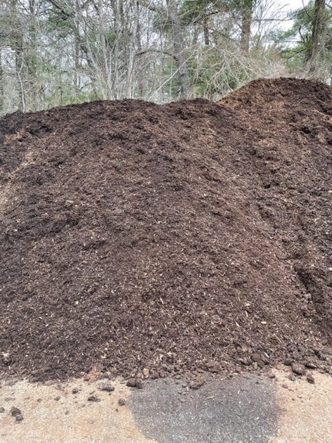 DARK PINE MULCH